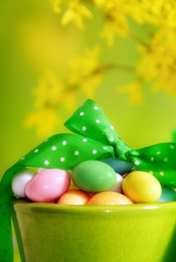 Colorful easter eggs in bowl with ribbon and flowers of golden rain tree 