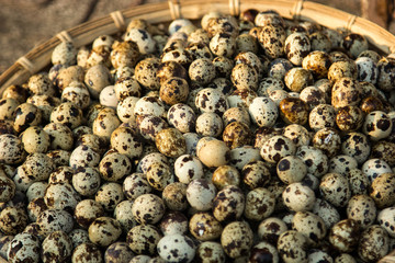  Vietnamese cuisine, eggs