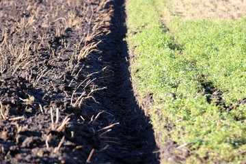  plowing and sowing