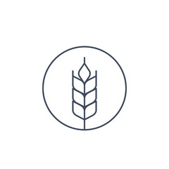 wheat vector icon, linear