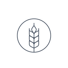 wheat vector icon, linear