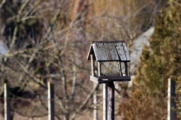 empty  bird feeder in autumn sunshine