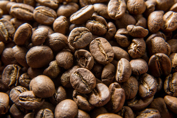 Coffee beans. Macro