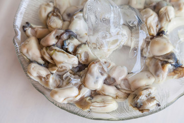 Fresh Oyster on ice serve in dish