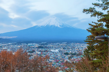 Fototapeta premium Mountain Fuji in autumn, twilight in morning scene, Japan