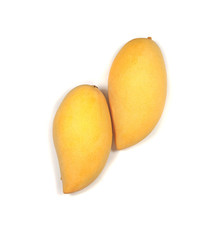 flawless beautiful big golden mango look tasty            