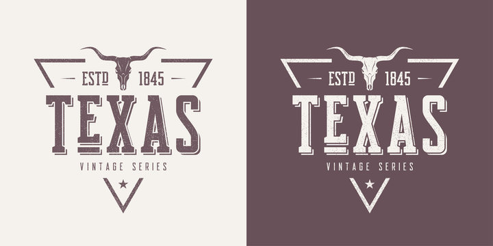 Texas State Textured Vintage Vector T-shirt And Apparel Design, 