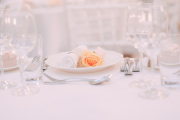 Fototapeta na wymiar appliances restaurant on a plate flower roses