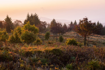 Herstlandschaft im Erzgebirge im Abendlicht