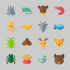 Icons about Animals with prawn, mouse, mosquito, beetle, duck and horse