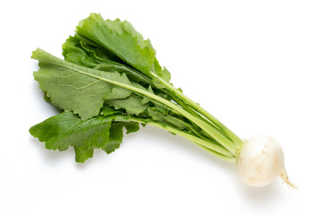 Fresh white round turnip radish on white background.