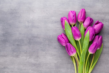 Multicolored spring flowers, tulip on a gray background.