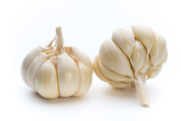 Garlic isolated on the white background.