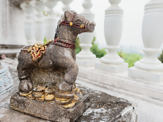 Ceramic horse and zebra used as offerings or sacrifice to holy spirits used in spiritual or religious theme