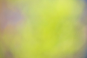 Nature gradient backdrop with bright sunlight. Abstract green blurred background. Ecology concept for your graphic design, banner or poster.