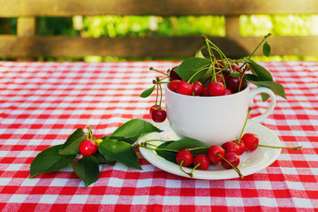 Cherries with leaves in the beautiful white cup on brown wooden rough rural table. Summer rustic garden view. Copy space, selective focus.