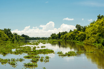 Obraz na płótnie Canvas Beautiful river of Tonle Sap