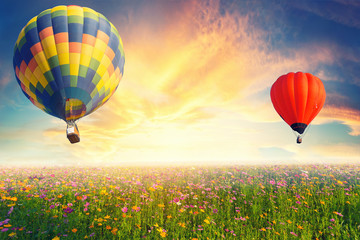 Beautiful flowers, cosmos, and colorful balloons floating in the sky in the sunset background,