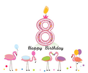 Eighth candle. Happy eighth birthday candle letter. Exotic birds. Set of different poses flamingos. Colorful flamingo