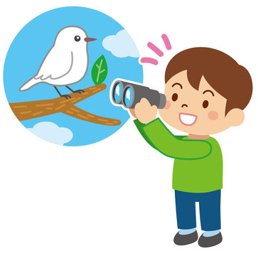 4 844 Best 野鳥観察 Images Stock Photos Vectors Adobe Stock