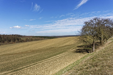 beautiful landscape on a sunny winter day with blue sky