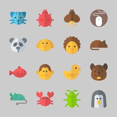 Icons about Animals with monkey, crab, rat, hedgehog, cat and penguin