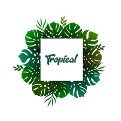 pattern tropical leaf