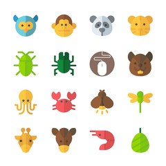 Obraz premium icon Animals with horse, cockroach, monkey, giraffe and crab