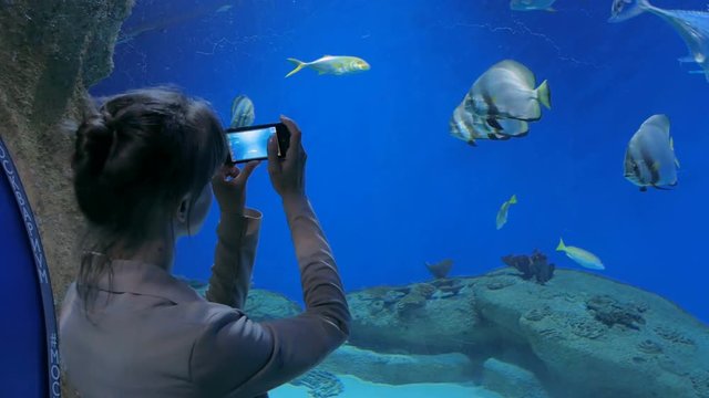 Woman take a photo in oceanarium. Technology and entertainment concept