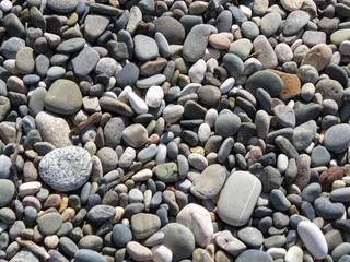 Sea Pebble
