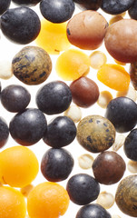 different lentils, red, brown and white quinoa