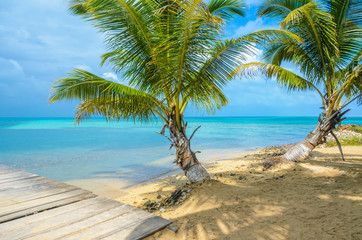Obraz na płótnie Canvas Tobacco Caye - Small tropical island at Barrier Reef with paradise beach, Caribbean Sea, Belize, Central America