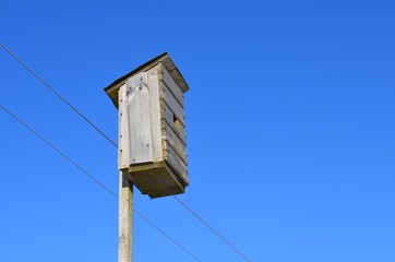 a small house for birds, a wooden house for animals in the woods and in the open sky, eco materials, a warm nest