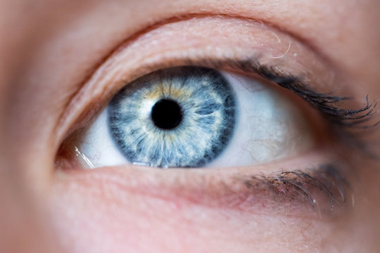 Blaues Auge und Wimpern natürlich, Seitenaufnahme