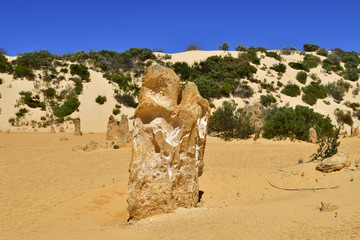 Australia, WA, The Pinnacles, Nambung National Park