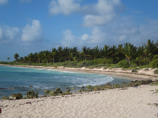 paesaggio tipico messicano dello Yucatan Massico