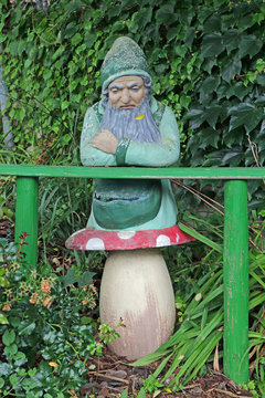 grantiger Zwerg