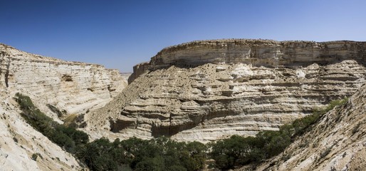 Fototapeta na wymiar Israel Desert 