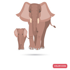 Elephant with cub color flat icon
