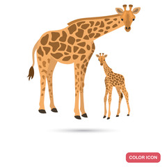 Giraaffe and cub color flat icon