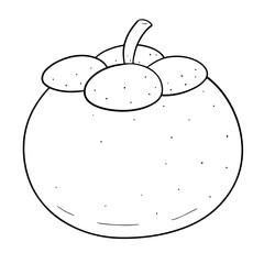 vector of mangosteen