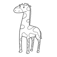 vector of giraffe