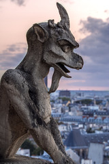 Gargoyle on Notre Dame In Paris at sunset