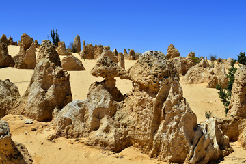 Australia, WA, Pinnacles, Nambung National Park