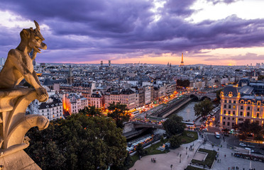 Gargoyle on Notre Dame In Paris at sunset
