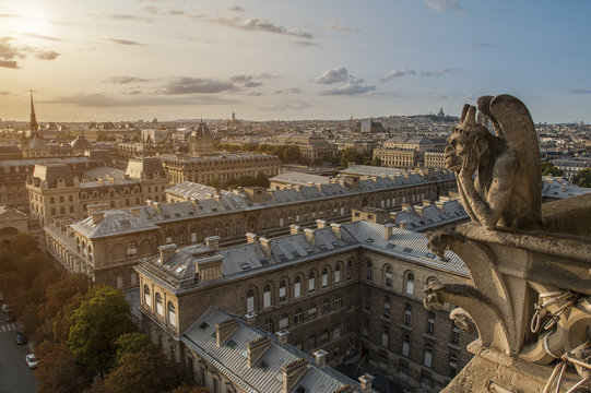 Gargoyle on Notre Dame In Paris