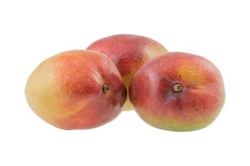 Close-up of mangoes isolated on white backround