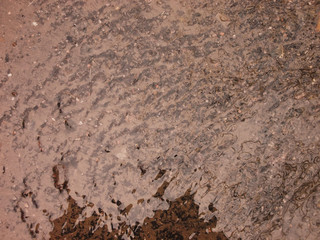 background of dry soil