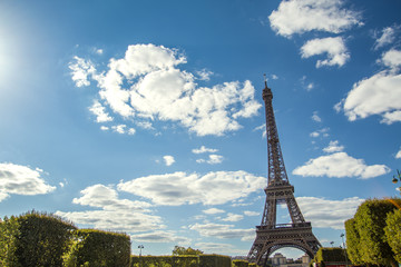 Obraz premium Eiffel Tower in summer on blue sky