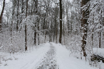 Spaziergang im Winter